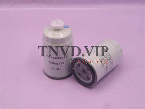 Фильтр топливный CX0710B1 RUIDELANG [50105]