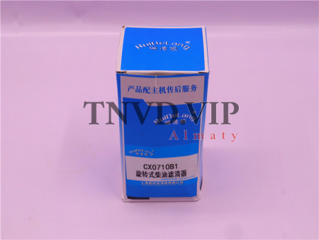 Фильтр топливный CX0710B1 RUIDELANG [50105]