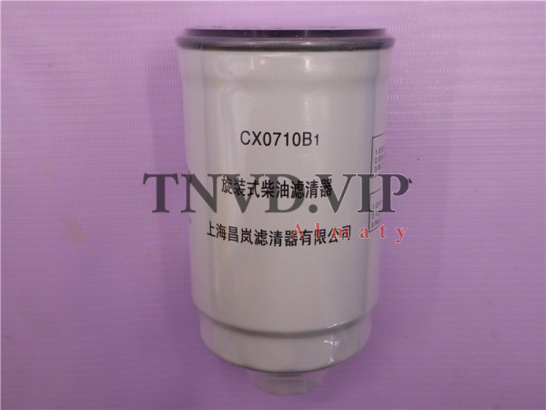 Фильтр топливный CX0710B1 RUIDELANG [50105]